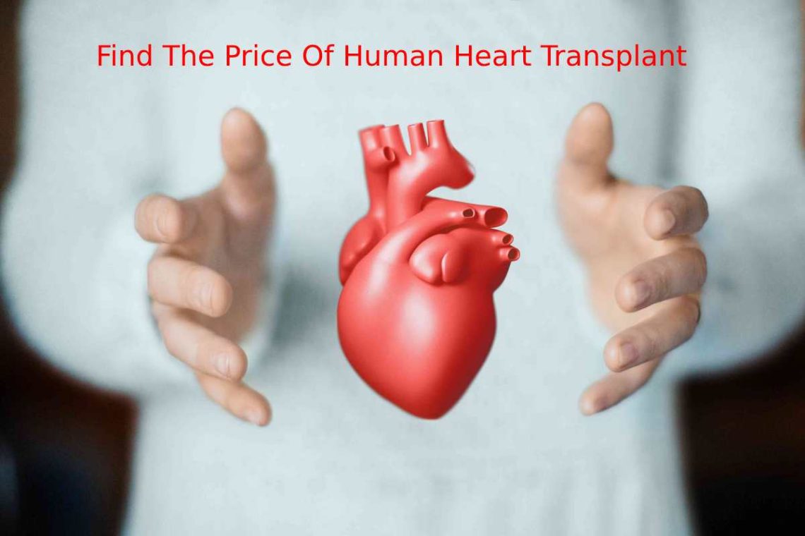 Find The Price Of Human Heart Transplant