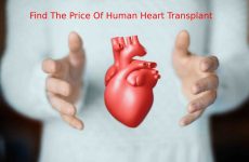 Find The Price Of Human Heart Transplant