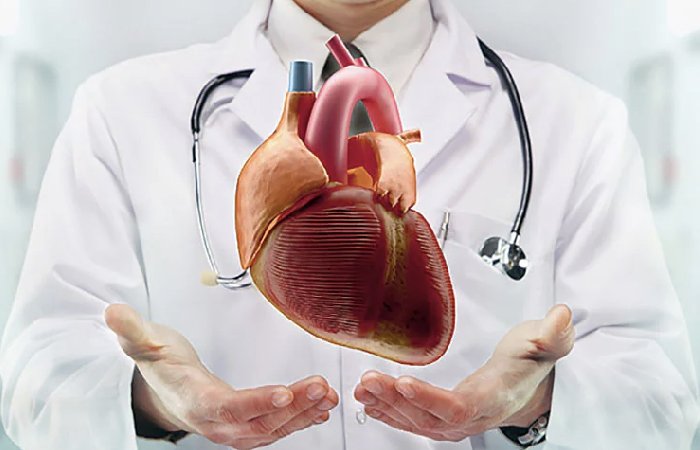 Price of Human Heart Transplant Surgery in India and the US