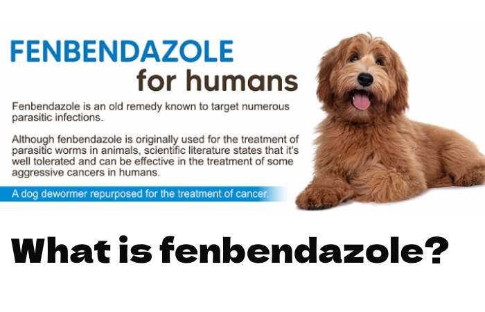 What is fenbendazole?