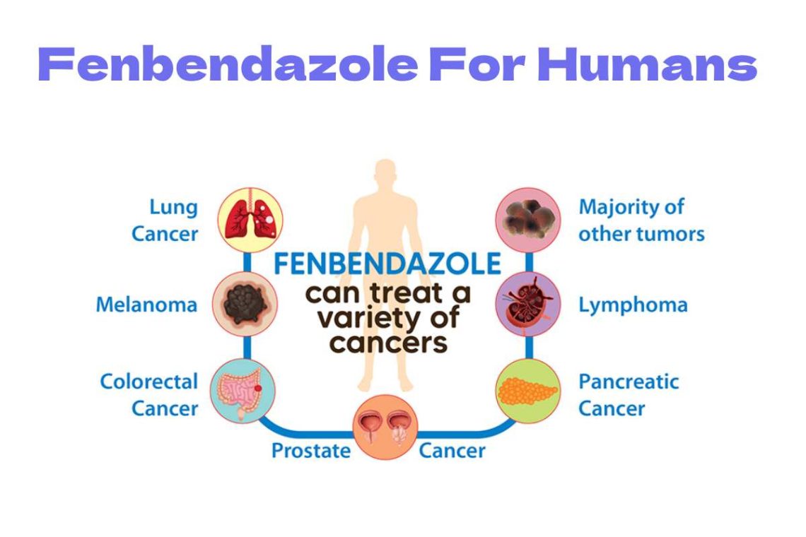 fenbendazole for humans