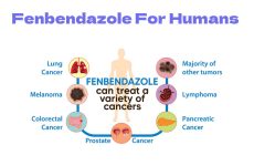 fenbendazole for humans