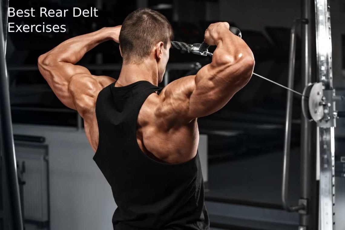 Best Rear Delt Exercises