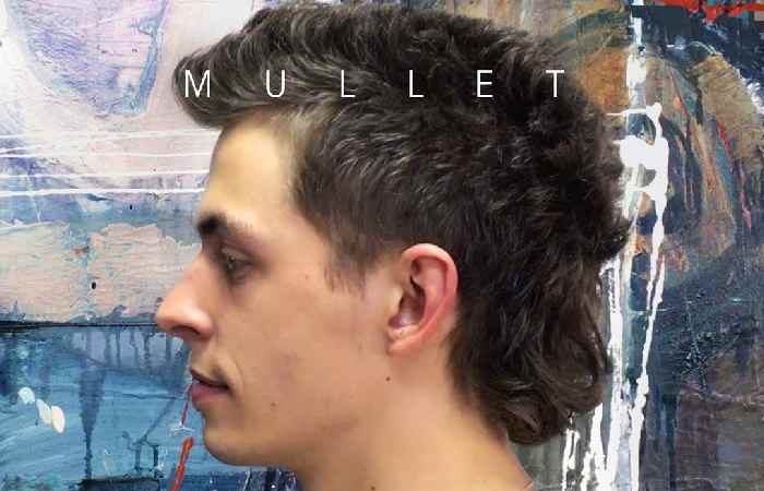 Classic Mullet Cut