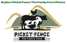 Explore Picket Fence The Family Farm Photos